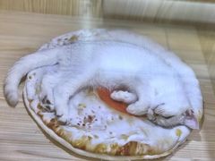 -屋虎猫馆(宝安大仟里店)