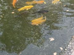 -成飞公园