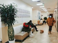 -美联众合动物医院·24h转诊中心