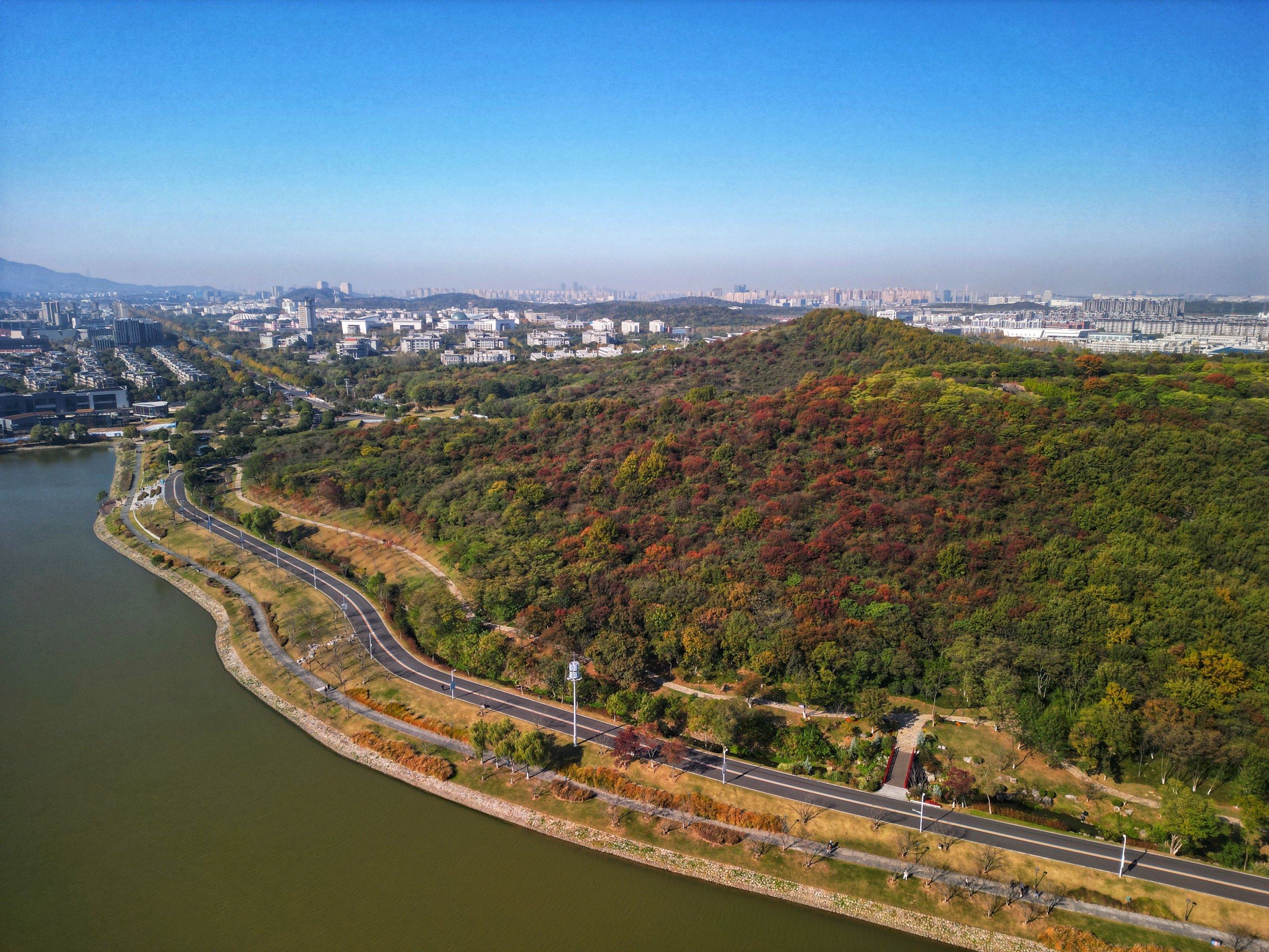 0元玩转这座城
「羊山湖公园」

