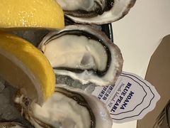 -斯普汇生蚝牛排馆(中骏世界城店)