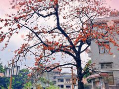 -黄埔古港