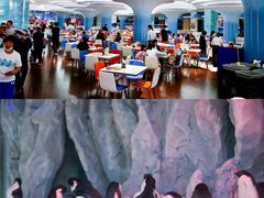 -帝企鹅自助餐厅•儿童岛•真企鹅(长隆企鹅酒店)