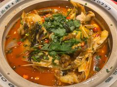 -魏铭鱼头捞饭(嘉善店)