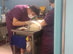 -北京博爱动物医院有限公司