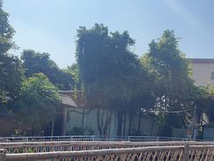 -陶缘一号·四季缘·老字号顺德菜·户外婚礼家宴(西滘店)