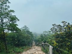 -梧桐山风景名胜区