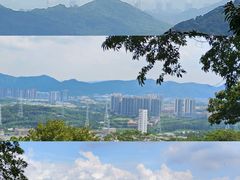 -黄埔油麻山森林公园