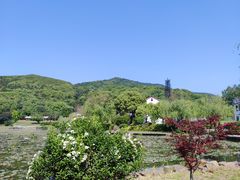 -龙寺生态园
