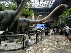 -国家自然博物馆