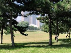 -长白岛森林公园