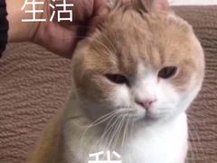 -博串堂(明发商业广场店)