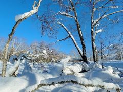 -雪谷