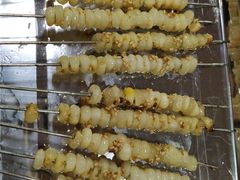 -老黑板筋(顺义总店)