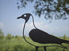 -野鸭湖国家湿地公园