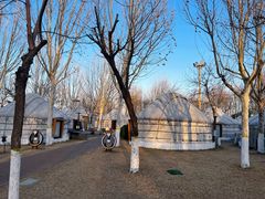 -九十九顶毡房(阜石路店)