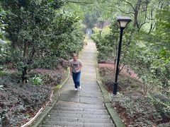 -大金鹰园