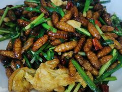 -新味都博山菜