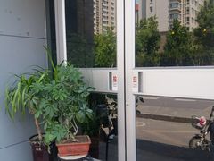-老板恋上鱼(环山路店)
