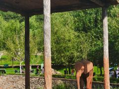 -哈尔滨北方森林动物园