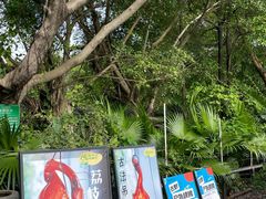 -芭厘农庄老字号·清远鸡
