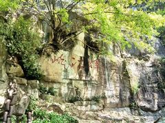 -铁山坪森林公园