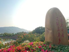 -亚龙湾国际玫瑰谷