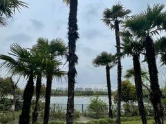 -黄兴公园