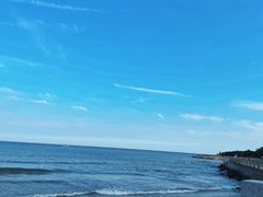 -日照海滨国家森林公园