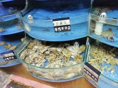 -京秀缘蒸汽海鲜农家菜大馅蒸饺