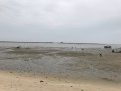 -北海金海湾红树林生态旅游区