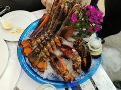 -半岛听涛蒸汽海鲜自助(K11店)