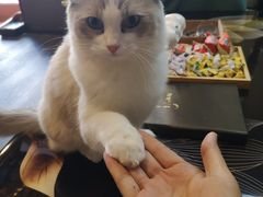 -焕醒·川派采耳(云街店)
