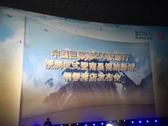 -博纳国际影城(铜锣湾激光巨幕杜比店)