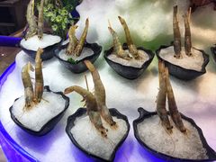 -海玥荟海鲜姿造自助餐厅(欧罗巴广场店)