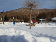 -横道河子东北虎林园