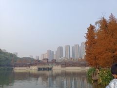 -重庆彩云湖湿地公园