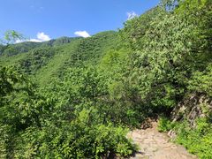 -阳台山自然风景区