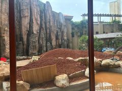 -忆江南·临江鱼馆