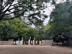 -井之头恩赐公园