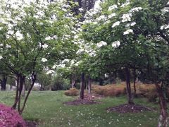 android_upload_pic-花溪公园
