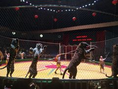 -西安秦岭野生动物园