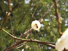 -白塘生态植物园