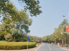 -艾溪湖湿地公园