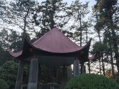 -庐山风景区花径公园