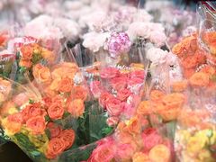 -越秀西湖花市(广州城市广场花卉店)