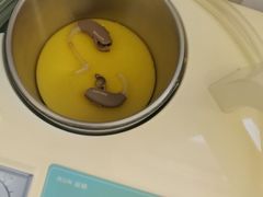 -自然之声助听器·呼吸机(公园路店)