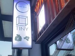 -TINY