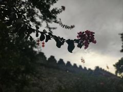 -肇庆古城墙