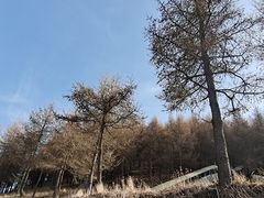 -红崖峡谷景区
